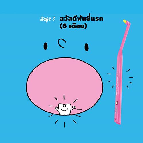 curaprox-เข้าใจเรื่องฟันผ่านพัฒนาการลูก