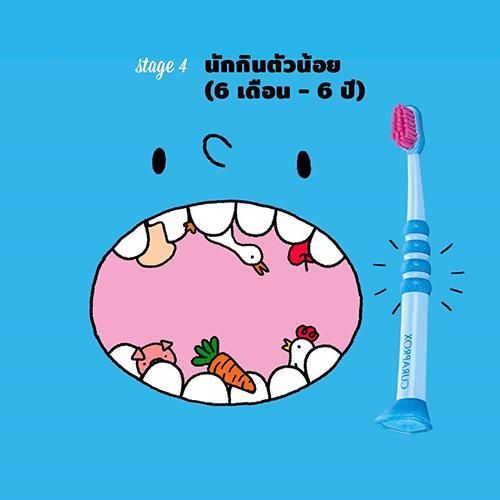 curaprox-เข้าใจเรื่องฟันผ่านพัฒนาการลูก