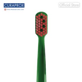 CS 5460 Watermelon Edition